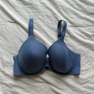 Aerie Classic Blue Bra